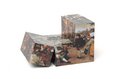 Magic Cube: Bruegel Thumbnails 2