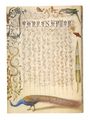 Notebook: Calligraphic Specimen Book - Peacock Thumbnail 2