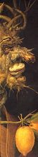 Silhouette Magnet: Sofonisba Anguissola