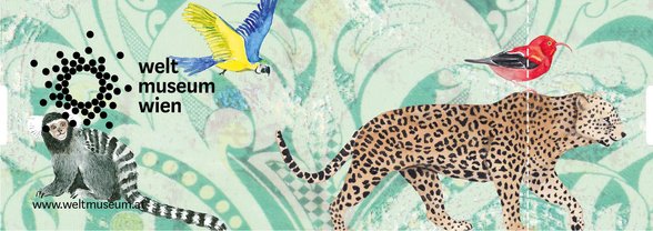 90 Minuten Workshop: KaleidosKids für 7-12 Jährige