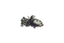 Silhouette Magnet: Sofonisba Anguissola