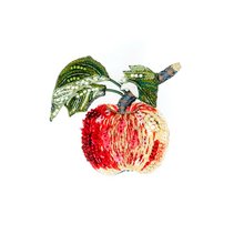 Brooch: Apple