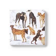Greeting Cards Set: Brueghel - Animal Studies Dogs