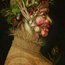 Arcimboldo - Sommer: Poster Thumbnails 1