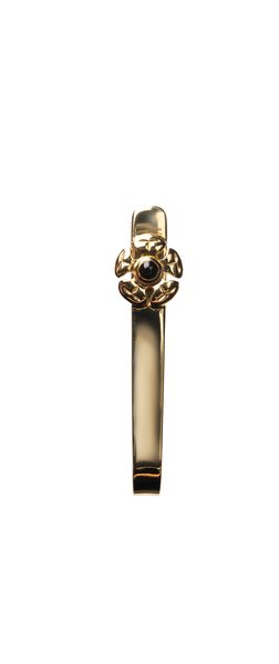 Tie clip: Gustav Klimt