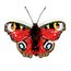 Brooch: Butterfly Anglais Peacock Thumbnails 1