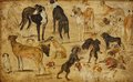 Greeting Cards Set: Brueghel - Animal Studies Dogs Thumbnails 5