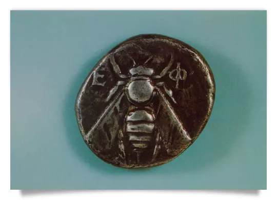 Postcard: Silver Stater with bee