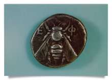 Postcard: Silver Stater with bee