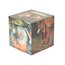 Magic Cube: Bosch Thumbnails 2