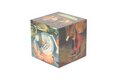 Magic Cube: Bosch Thumbnails 2