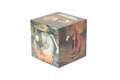 Magic Cube: Bosch Thumbnails 2