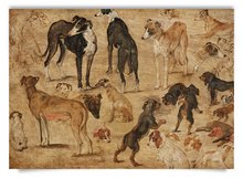 Postkarte: Brueghel - Tierstudie Hunde