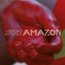 Ausstellungskatalog: (Un)Known Artists of the Amazon Thumbnails 1