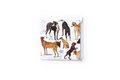 Greeting Cards Set: Brueghel - Animal Studies Dogs Thumbnails 3
