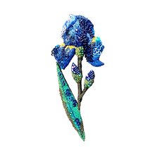 Brooch: Wild Iris