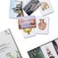 Memory Game: Landscape Echoes - A Game of Concentration, But Different Thumbnails 2