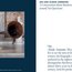 Ausstellungskatalog 2020: Beethoven bewegt Thumbnails 7