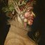 Teddybear: Arcimboldo - Summer Thumbnails 2