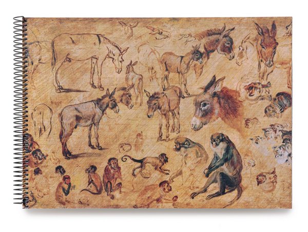Sketchbook: Animal Studies (Donkey, Cats, Monkeys)
