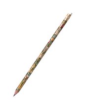 Pencil: Raphael - Floral Tendrils