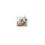 Bag: Bruegel - Tower of Babel Thumbnails 3