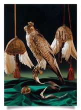Postkarte: Falkenluder, Falke mit Falkenhäubchen und Habichthaube