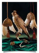 Postcard: Feather Lure and Falcon with Falconhood