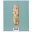 Ausstellungskatalog: Staub &amp; Seide Thumbnails 2