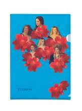 File Folder: Titian Flowers