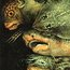 Bookmark: Arcimboldo - Water Thumbnails 1