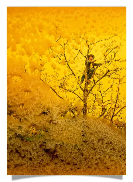 Postkarte: Honig Photo 1