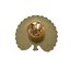 Enamel Pin: Peacock Thumbnails 2