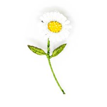 Brosche: Gänseblümchen