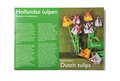 Origami Papierblumen: Tulpen Thumbnails 1