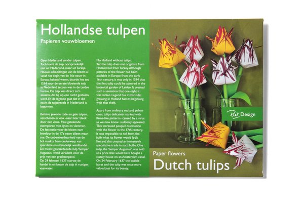 Origami Papierblumen: Tulpen