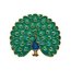Enamel Pin: Peacock Thumbnails 1